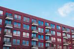 Steden\Den Haag\Muizenoverlast en Rattenoverlast Den Haag.jpg
