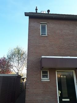 Wespen\wespenbestrijding\tweede bouwlaag.jpg